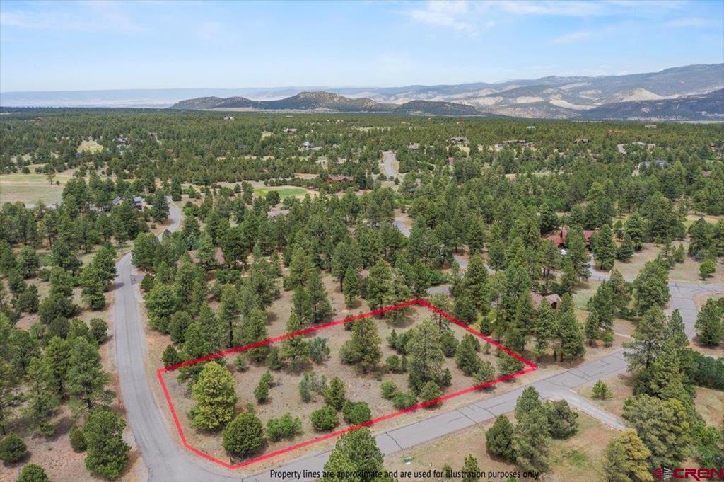 TBD Lot 308 Bear Cub Drive Ridgway, CO 81432