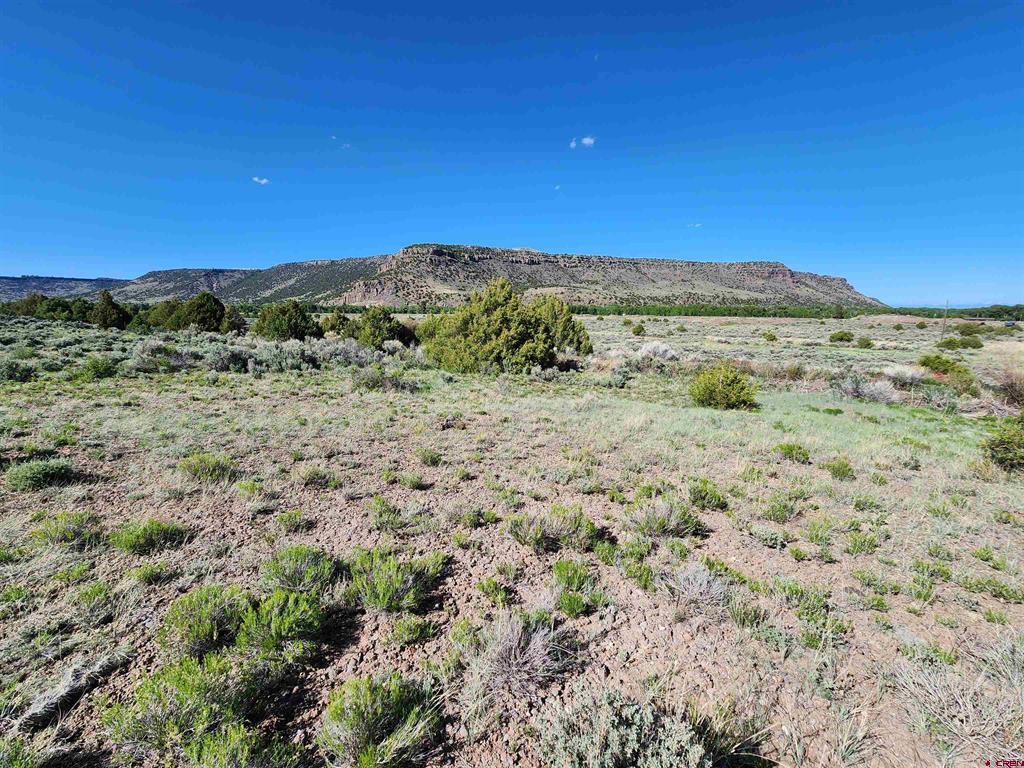 Lot 10 Conejos River Trails Antonito, CO 81120