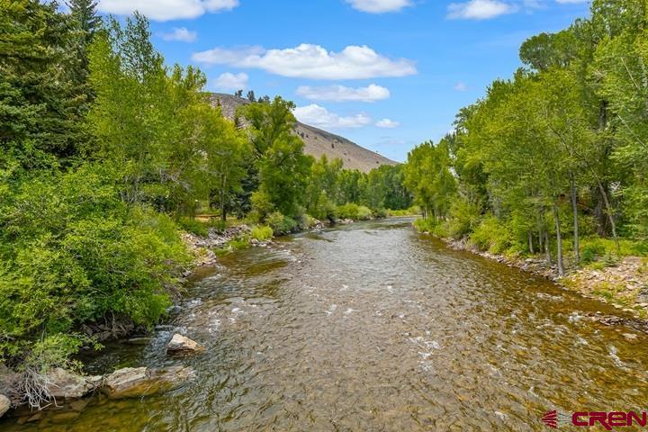 209 Deer Path Lane Almont, CO 81230