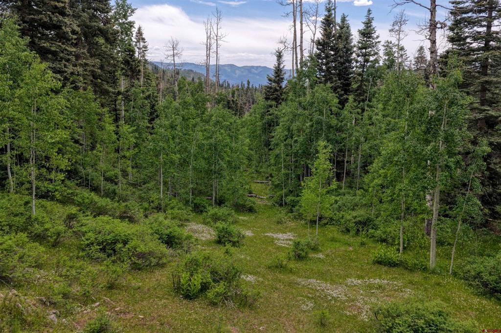 4556 Middle Mountain Road Bayfield, CO 81122