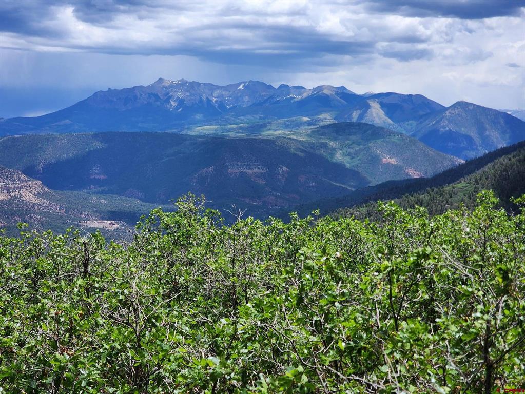 (TBD) Canyon Rim Loop Placerville, CO 81430
