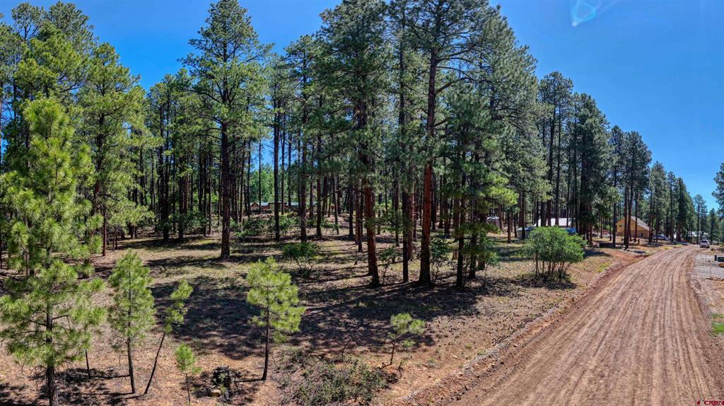 79 Spruce Way Bayfield, CO 81122