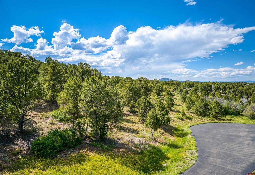 Lot 9 Pointe Escape Drive Ridgway, CO 81432