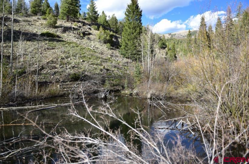 Lot 6676 alexandra Road Fort Garland, CO 81133