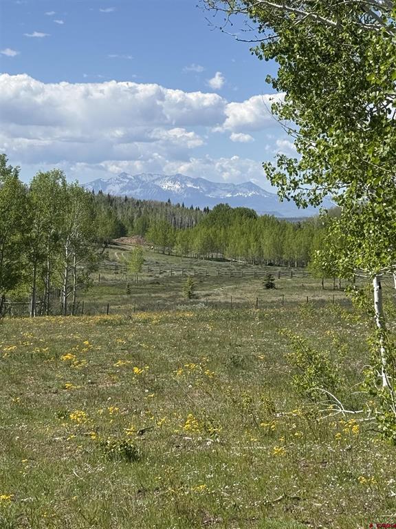 (TBD) Divide/ Davewood Road Montrose, CO 81403