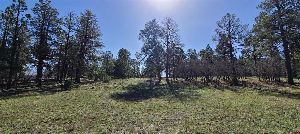 225 Badger Trail Ridgway, CO 81432