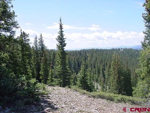 TBD # 10 Geneva Loop Loop Pitkin, CO 81241