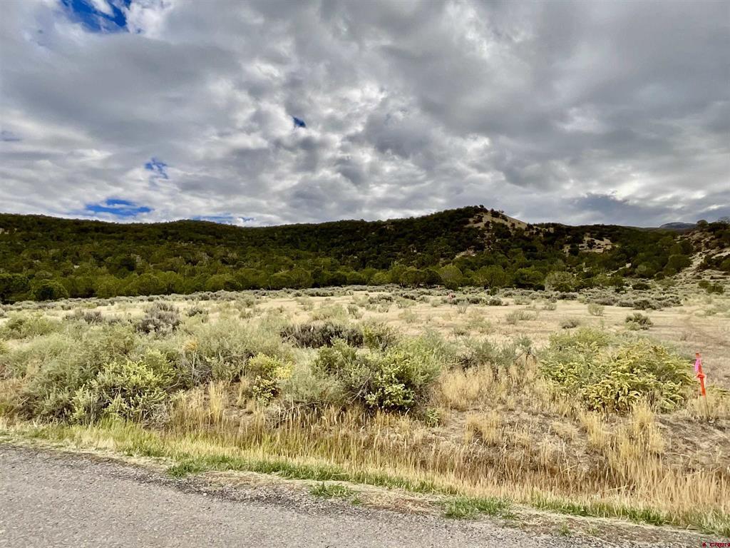 TBD LOT 22 7250 Road Montrose, CO 81403