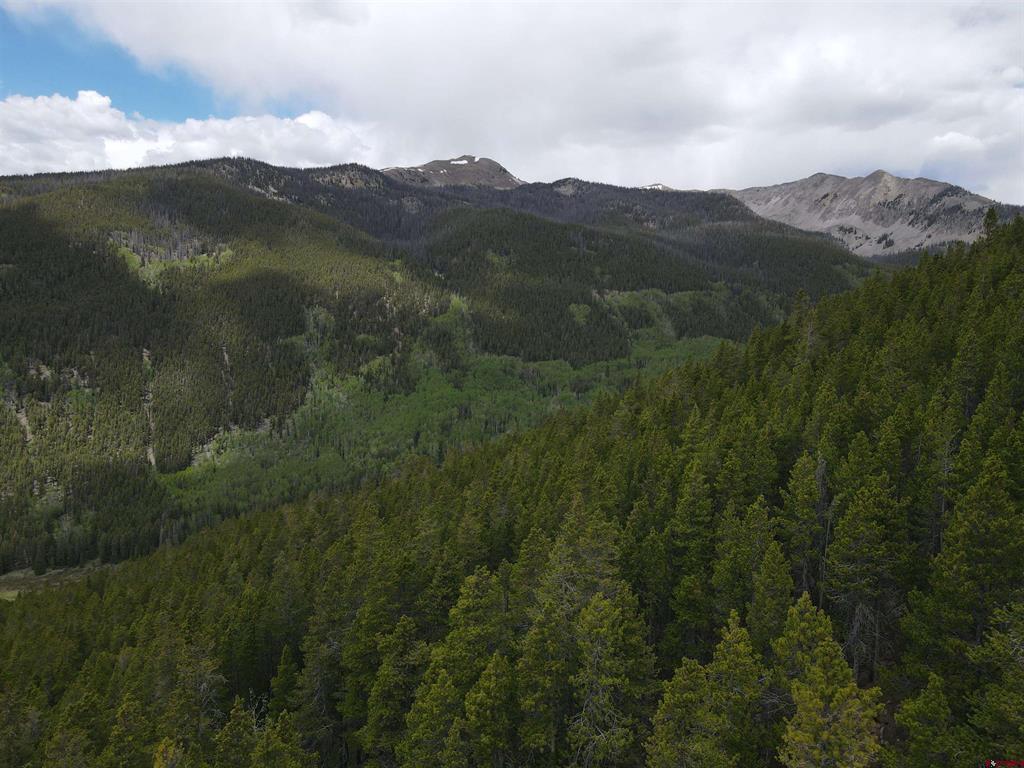 (TBD) Erie Mine Road White Pine, CO 81248