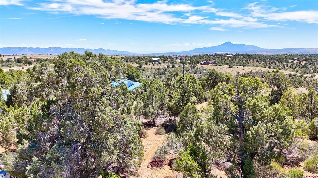 (TBD) Road V.6 Cortez, CO 81321