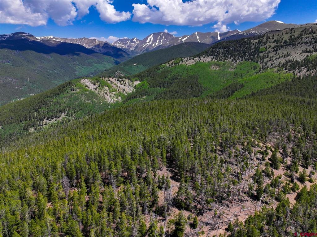 (TBD) White Pine Upper Tomichi Gunnison, CO 81230