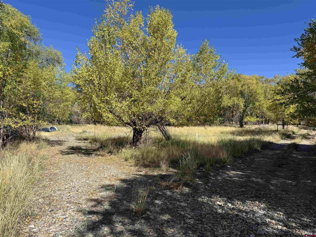 Lot 1 Price Road Paonia, CO 81428