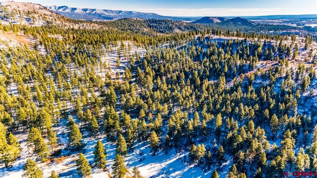 TBD Lot 11 Beaver Creek Ranch Drive Bayfield, CO 81122