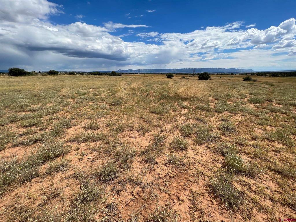 (TBD) Road 25 Dolores, CO 81323