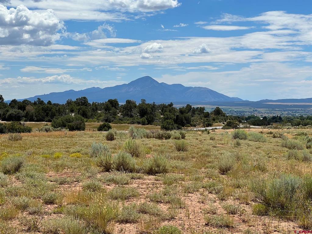 (TBD) Road 25 Dolores, CO 81323