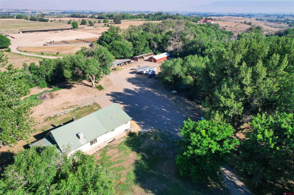 7531 High Mesa Road Olathe, CO 81425