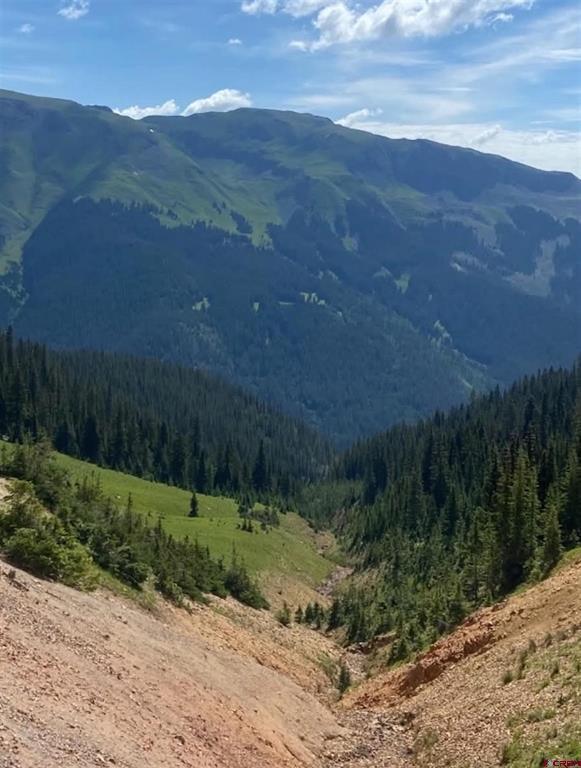 (TBD) CR 110 Silverton, CO 81433