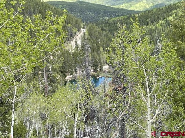 1675 Chicago Park Road Pitkin, CO 81241