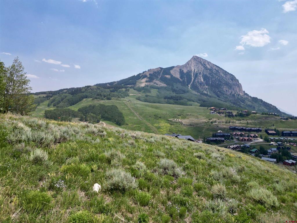 19 Buttercup Lane Mount Crested Butte, CO 81225