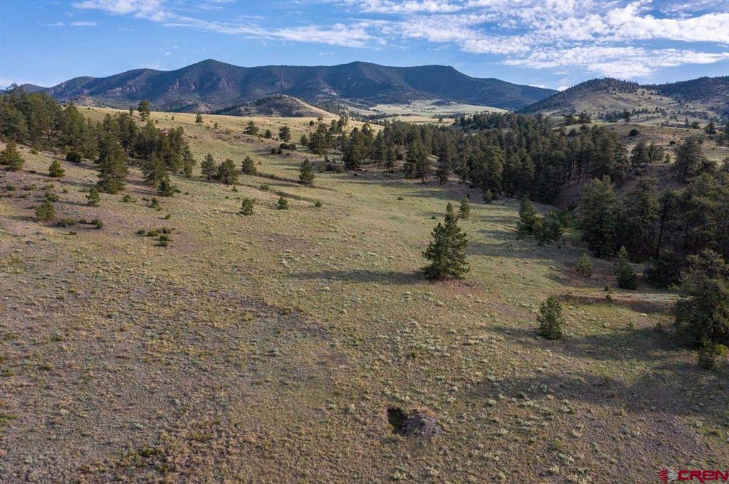 (TBD) Big Buck Road Guffey, CO 80820