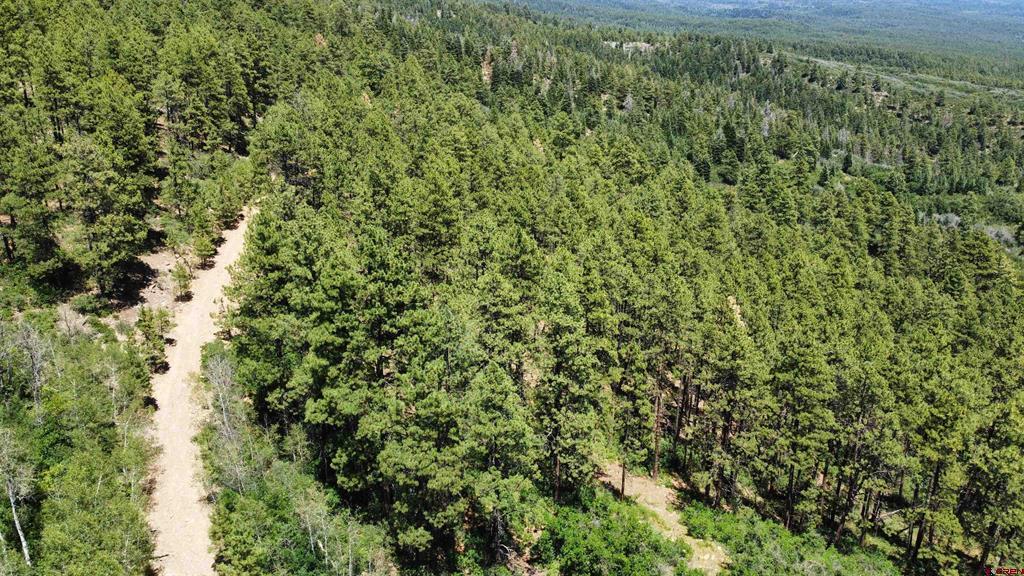 166 Jackalope Drive Bayfield, CO 81122