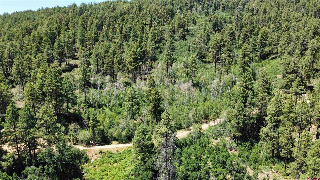 140 Jackalope Drive Bayfield, CO 81122