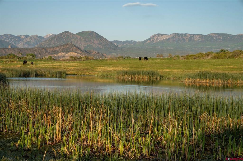 4369 Cattle Drive Crawford, CO 81415
