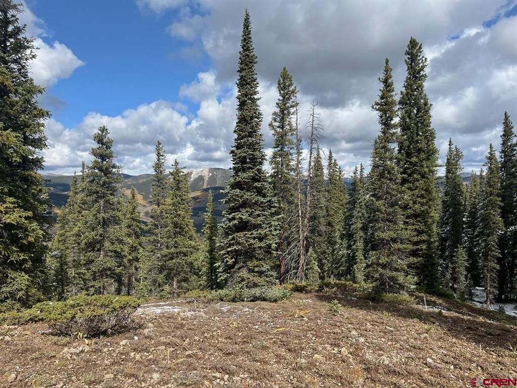 400 Forest Service Road 550 Road Almont, CO 81210