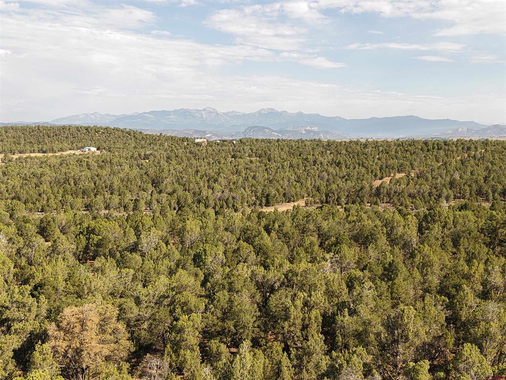 (TBD) CR 310 Ignacio, CO 81137