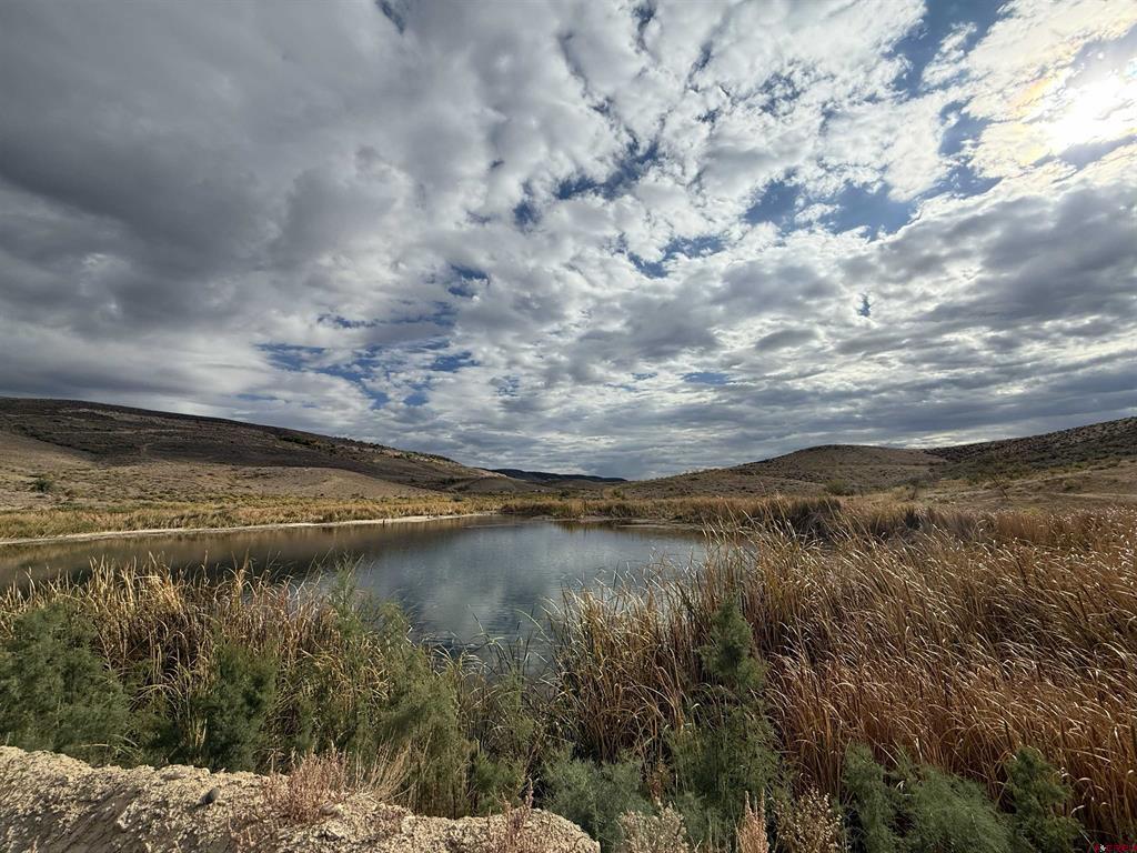 (TBD) Payne Siding Road Hotchkiss, CO 81419