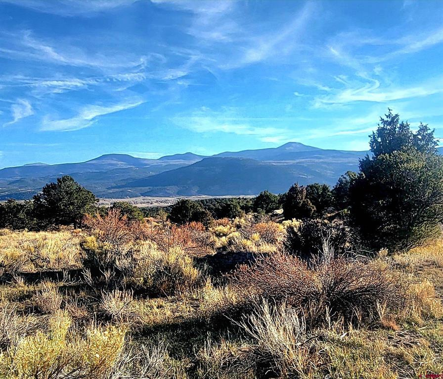 1094 Valley View Rd South Fork, CO 81154