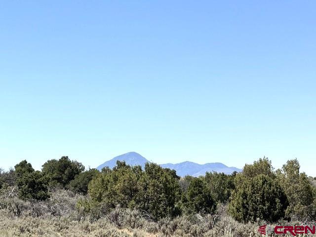 (TBD) Road 23 Lewis, CO 81327