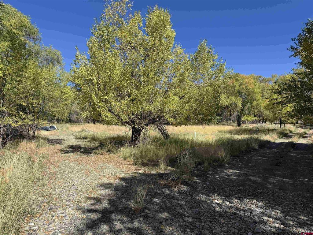 Lots 1 & 2 Price Road Paonia, CO 81428