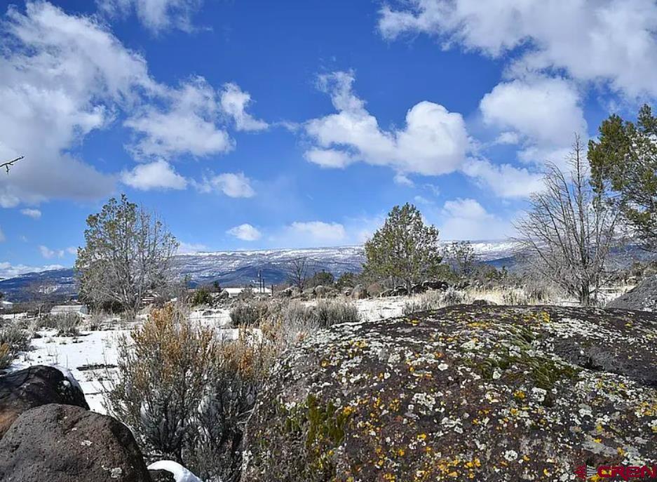 345 NW ELM Avenue Cedaredge, CO 81413