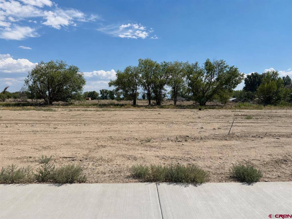 Lot 8 TBD Cunningham Street Delta, CO 81416