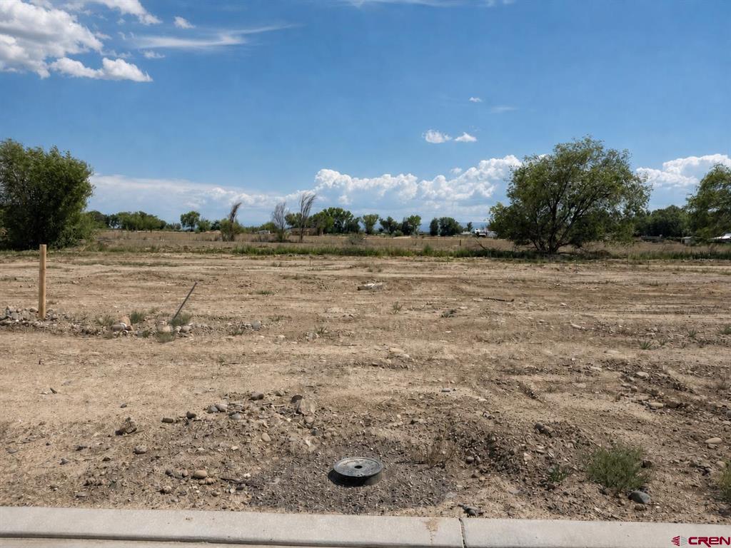 Lot 11 TBD Cunningham Street Delta, CO 81416