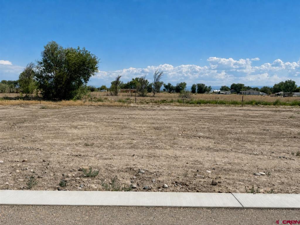 Lot 13 TBD Cunningham Street Delta, CO 81416