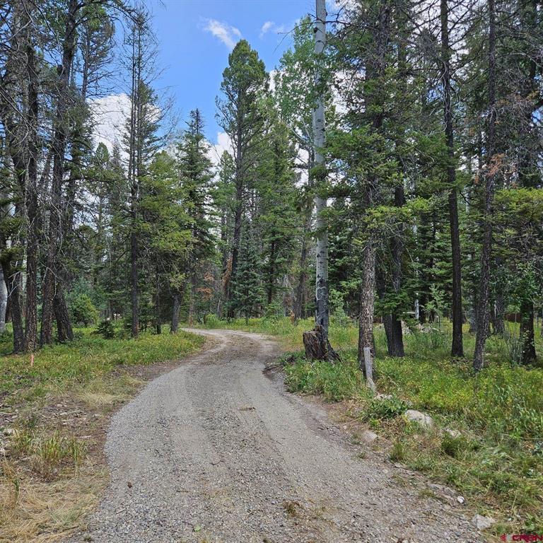 764 Deer Trail Cimarron, CO 81220