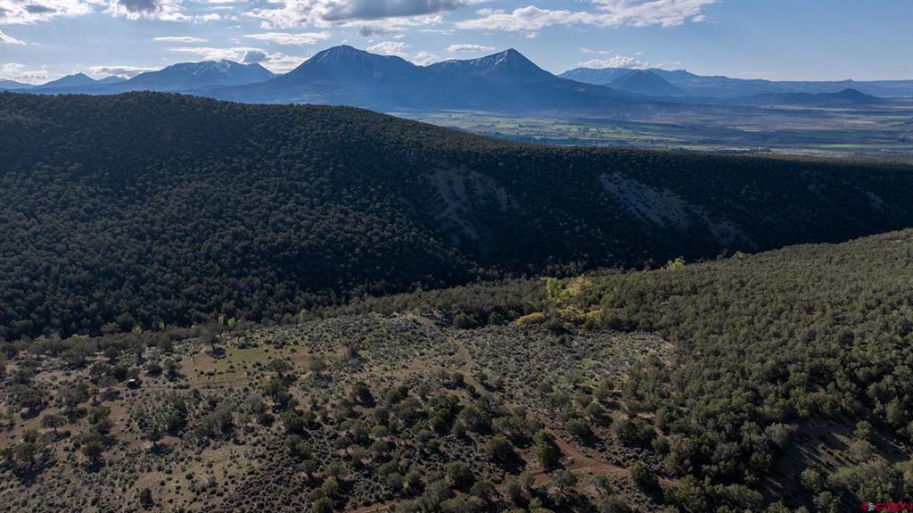 (TBD) Wolf Park Road Hotchkiss, CO 81419