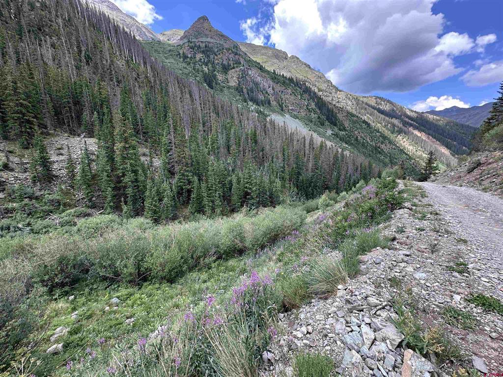(TBD) CR 23 Silverton, CO 81433