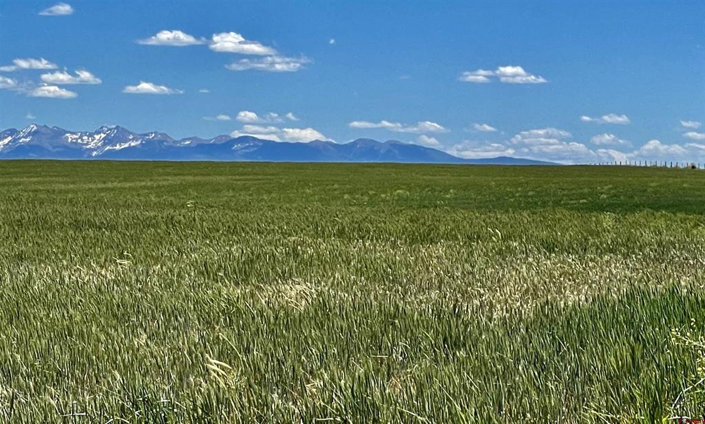 Lot 2 TBD Road Z Lewis, CO 81327