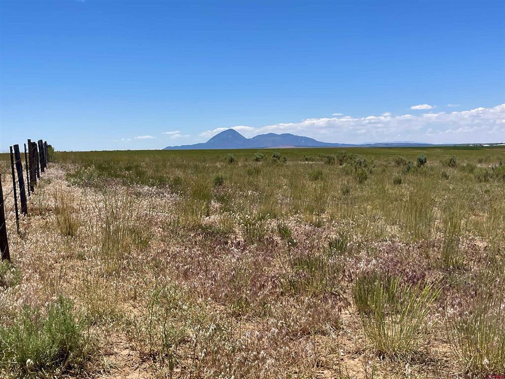 Lot 3 TBD Road 20 Lewis, CO 81327