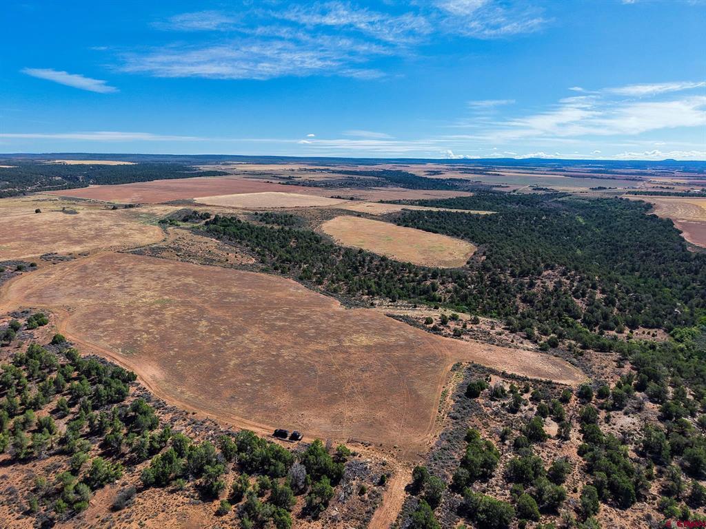 11068 HWY 491 Dove Creek, CO 81324