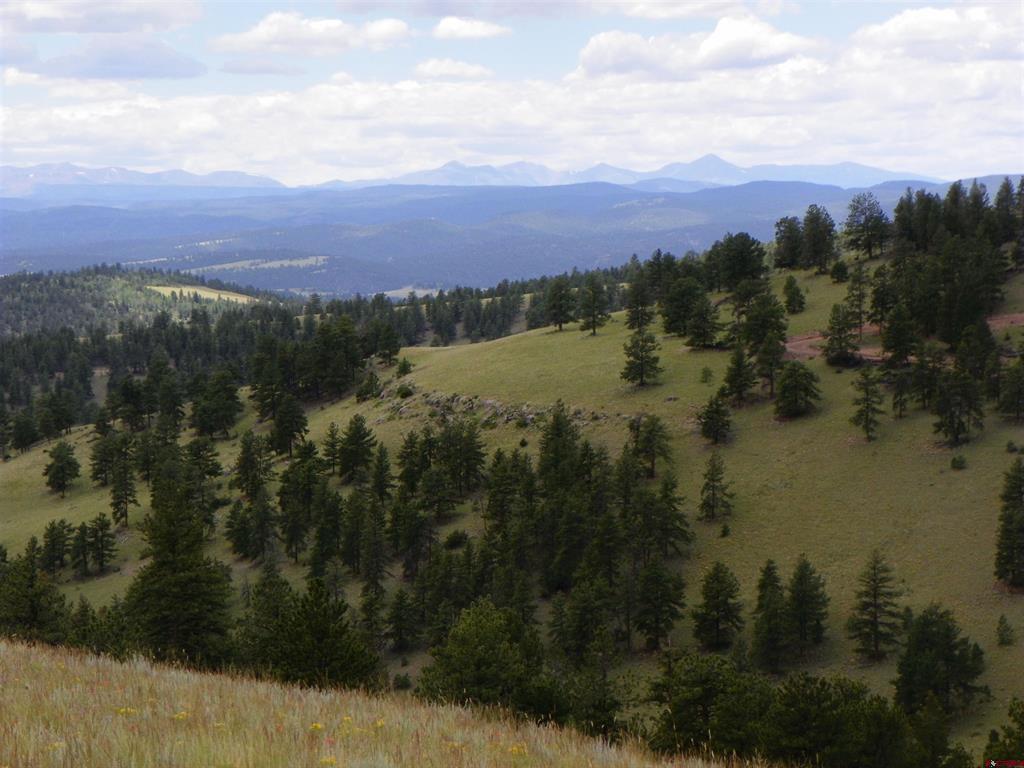 (TBD) 33H Saguache, CO 81149