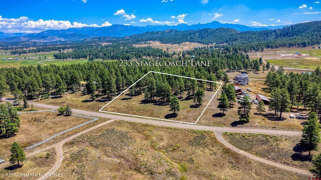 233 Stagecoach Lane Pagosa Springs, CO 81147