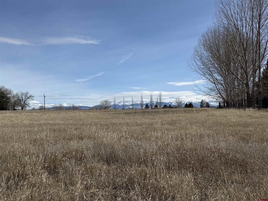 Tbd Road Dolores, CO 81323