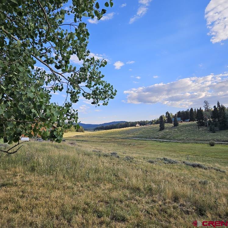 265 Ponderosa Way Cimarron, CO 81220