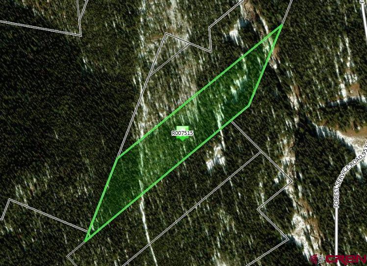 (TBD) Osceola Almont, CO 81210