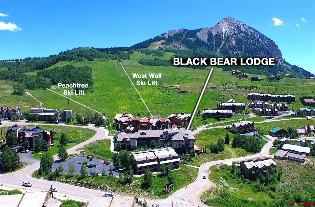 9 Hunter Hill Road Mount Crested Butte, CO 81225