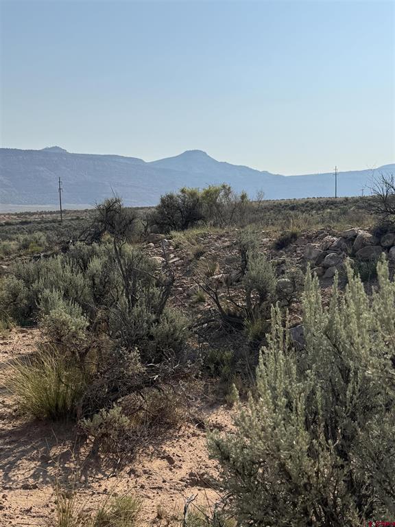 (TBD) HWY. 90 Highway Bedrock, CO 81411